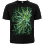 Футболка Smoky Cannabis