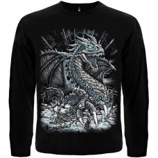 Лонгслів Dragon In Chains