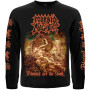 Лонгслів Morbid Angel
