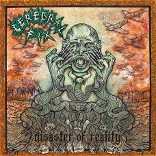 Компакт - диск CEREBRAL FIX