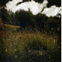 Компакт - диск DRAGOBRATH - WHISPERHERBS CD
