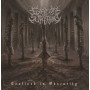 Компакт - диск FIXATION ON SUFFERING