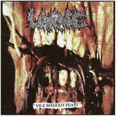 Компакт - диск LARVAE - VILE MAGGOT FEAST CD