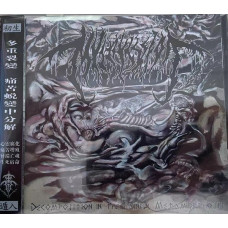 Компакт - диск MVLTIFISSION - DECOMPOSITION IN THE PAINFUL METAMORPHOSIS CD