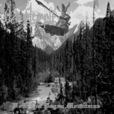Компакт - диск WOODTEMPLE - VOICES OF PAGAN MOUNTAINS CD