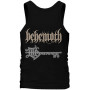 Майка Behemoth