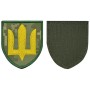 Шеврон на липучці ЗСУ