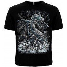 Футболка Dragon In Chains