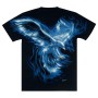 Футболка Blue Hawk