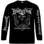Лонгслів Immortal