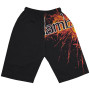 Шорти Lamb of God