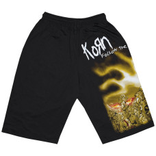 Шорти Korn